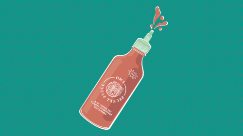 Illustration of a hot sauce bottle with PMO (Project Management Office) as the main ingredient